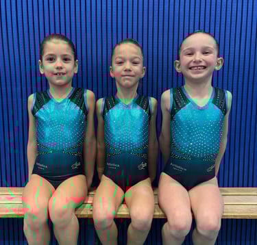 Artistica Jesolo Corso Avanzato