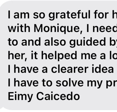 Participant Experience with SyncSelf