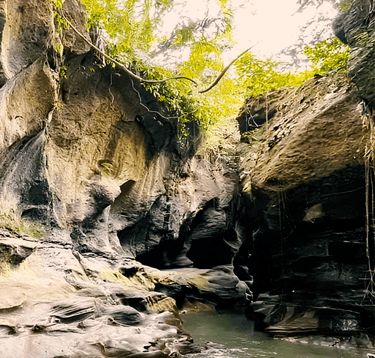 a person standing in a canyon with a dog