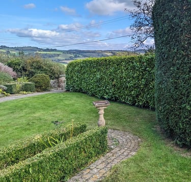 hedge cutting devon