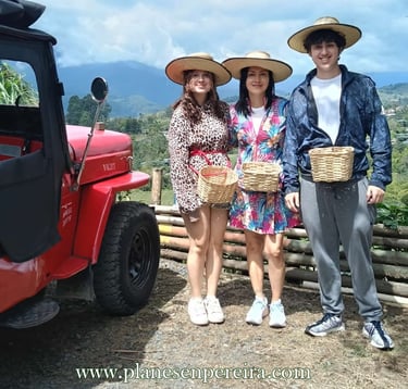 tour del café en pereira