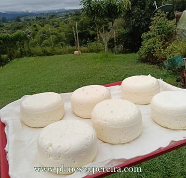 que hacer en pereira colombia