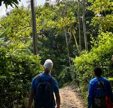 Caminata de naturaleza en Don Diego antes de llegar al rio