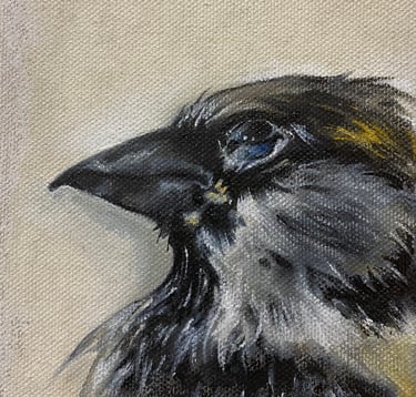Painting of the head of a deceased sparrow.