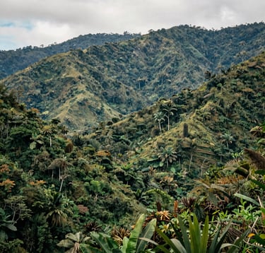 Wide shot of the lush green vegetation and mountain landscape typical of the Amazon region in Ecuador, soft lighting, focus on natural beauty and sustainability.