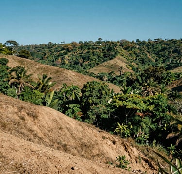 A scenic view of the terrain near Cueva de los Tayos, showing rolling hills and dense tropical vegetation under a clear blue sky. Earthy tan soil and lush forest green foliage.