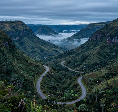 A beautiful scenic view of a winding road through South American / Brazilian mountains, captured during the blue hour. The landscape features lush greenery and muted cyan mist in the valleys. High-end travel photography style, emphasizing the scale and beauty of the natural world.