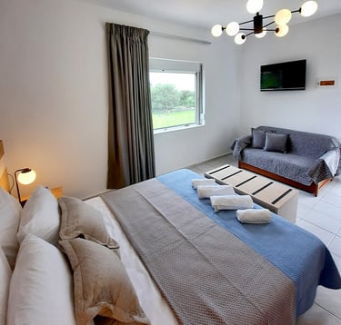 a bed room with a couch and a couch