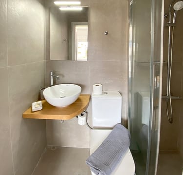 a bathroom with a sink and a toilet
