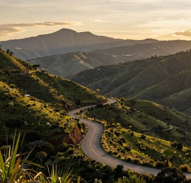 A panoramic view of a winding road through the lush, green Oaxacan highlands leading towards the Sierra Norte mountains, captured in the warm, golden light of late afternoon.