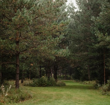 ALNUS kiemo parkas