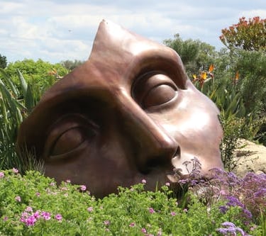 sculpture of  parial face on garden plants sarounding it give iluzion coming from the ground bronze  