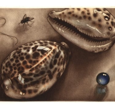 Mezzotint Color Aquatint Olive shells Kalamata olives stella Octangula Polyhedron Robert De Groff