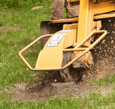 stump grinder
