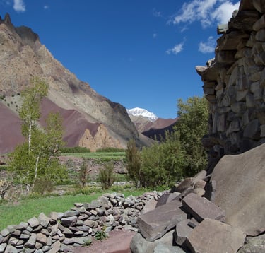 ladakh trekking landscape