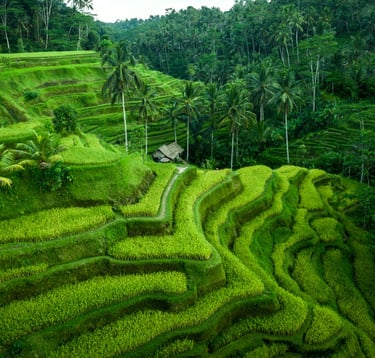 Beautiful untouched nature