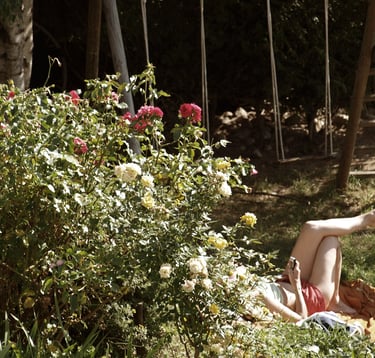 Le jardin de la Ferme du Veyre à Saint Bonnet en Champsaur