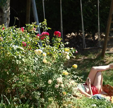 Le jardin de la Ferme du Veyre