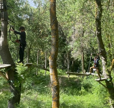 Enfants lors d'une séance d'accrobranche, une activité en plein air, à proximité du Canal du Midi