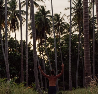 a man standing on a path with palm trees