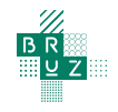 Ville de Bruz logo