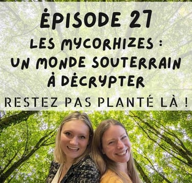 2pisode sur les mycorhizes, un monde souterrain à décrypter