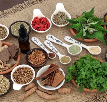 exemple de plantes phytothérapie en MTC 