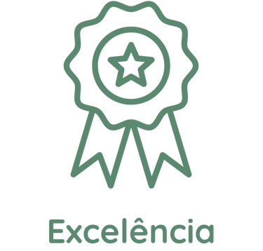 ícone de excelência - um selo com uma estrela