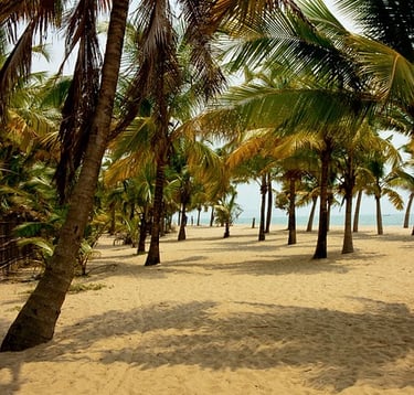Kerala tour packages tours