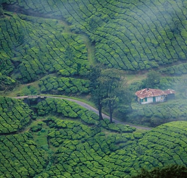 Kerala tours and packages