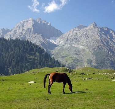 Kashmir travel packages