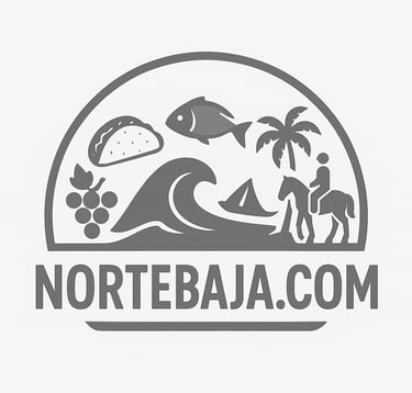 Baja California North Norte Baja Newsletter