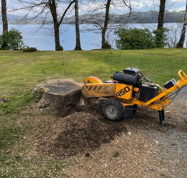 stump grinding lake district
