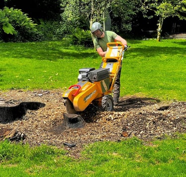 lake district stump grinding