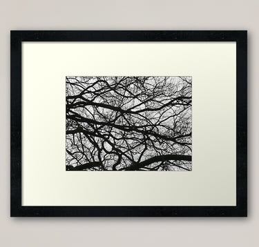 fotografía artistica  de ramas de los árboles parecen trazos de carbón sobre un lienzo blanco