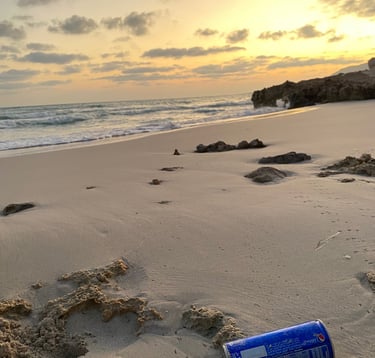 Socotra island tour trash on beach