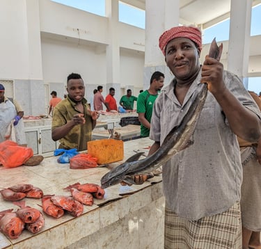 Socotra island tour fish market in Hadiboh