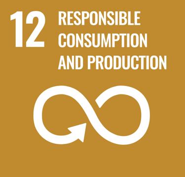 SDG 12 Responsible Consumption and Production