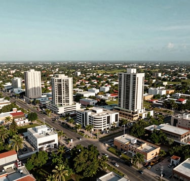 A drone photograph of the Temozón region in North Mérida, Yucatán, showing upscale developments and modern infrastructure under a clear sky. Palette includes soft sage and pine green.