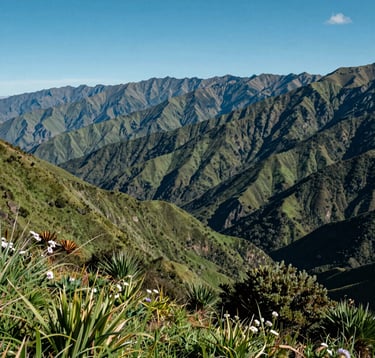Cinematic photography of the South American mountains with layers of green ridges stretching into the distance. Lush vegetation and wildflowers in the foreground. Bright daytime lighting with a clear blue sky, capturing the immense beauty of the Andes.