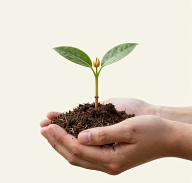 A stylized, inspiring image of a golden seedling growing from a handful of rich soil held by hands, symbolizing environmental investment and wealth creation, set against a clean #F5F8EF cream background.