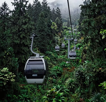 Photography of a modern 4600-meter cable car line cutting through the dense, vibrant green forests of Phulchoki. The composition is from below, looking up toward the cable car cabins disappearing into a soft mountain mist. Palette dominated by seaweed green and dark slate grey shadows.
