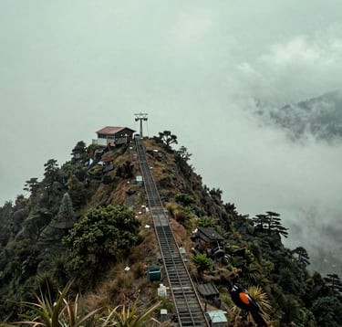 Detailed photography of the cable car track disappearing into the clouds at Phulchoki peak, viewed from a high angle, with a glimpse of a rare Nepalese bird in the foreground, muted forest green foliage and pale mist green sky.