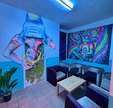 Freedom | Club cannabis Madrid