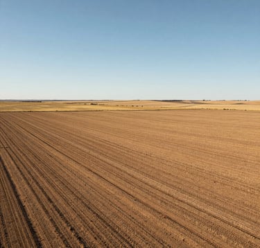 A vast, sun-drenched rural landscape in the Santa Fe province pampas, showing a clean plot of land ready for development. The horizon is wide, under a clear light blue sky. Professional real estate photography style.