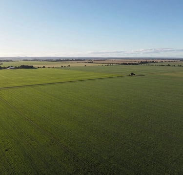 An aerial panoramic view of vast, green Argentinian fertile land and fields near Capitán Bermúdez. The composition is clean and expansive under a clear sky, suggesting potential for suburban or industrial development. Natural Slate Green and Light Blue tones dominate the landscape.