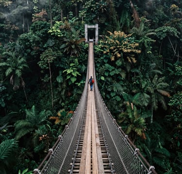 A dramatic shot of the Sukabumi suspension bridge, the longest in Southeast Asia, stretching across a lush Dark Forest Green valley. The wooden planks and rope structure are centered, leading the eye into the deep jungle mist. Professional hikers are seen in a Southeast Asian / Indonesian forest setting.