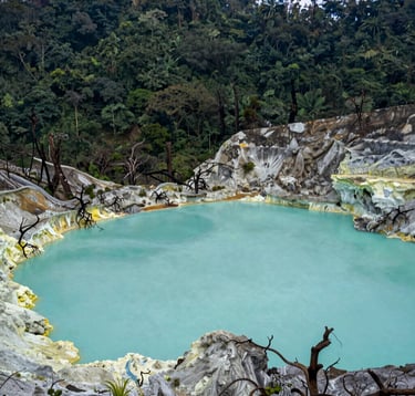 The surreal turquoise volcanic lake of Kawah Putih in Bandung, surrounded by white sulfurous ground and charred trees against a backdrop of deep jungle green forest, Southeast Asian / Indonesian volcanic landscape.