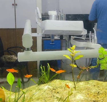 the white dental practice mankapur nagpur dental chairs aquarium