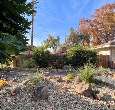 a gravelle yard with a gravel path and a gravel path